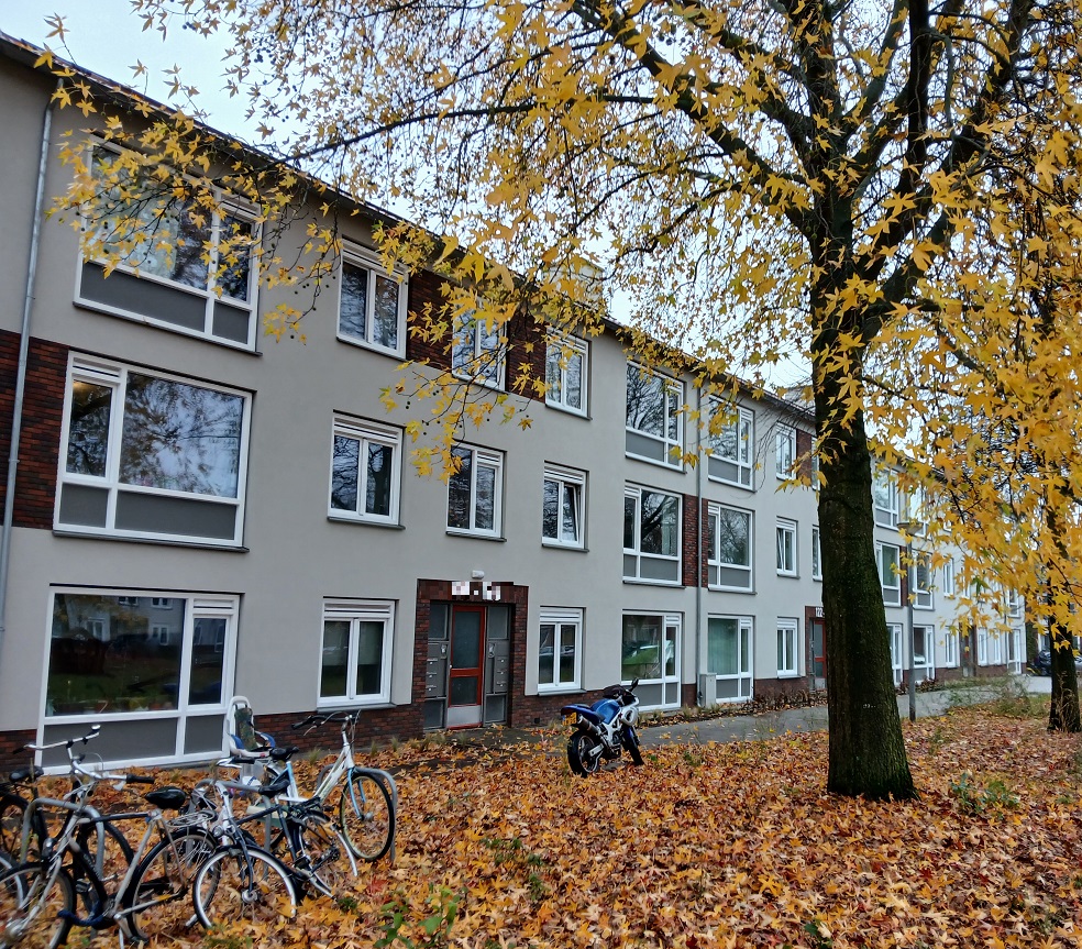 Pieter Breughelstraat 44, 5213 BN 's-Hertogenbosch, Nederland